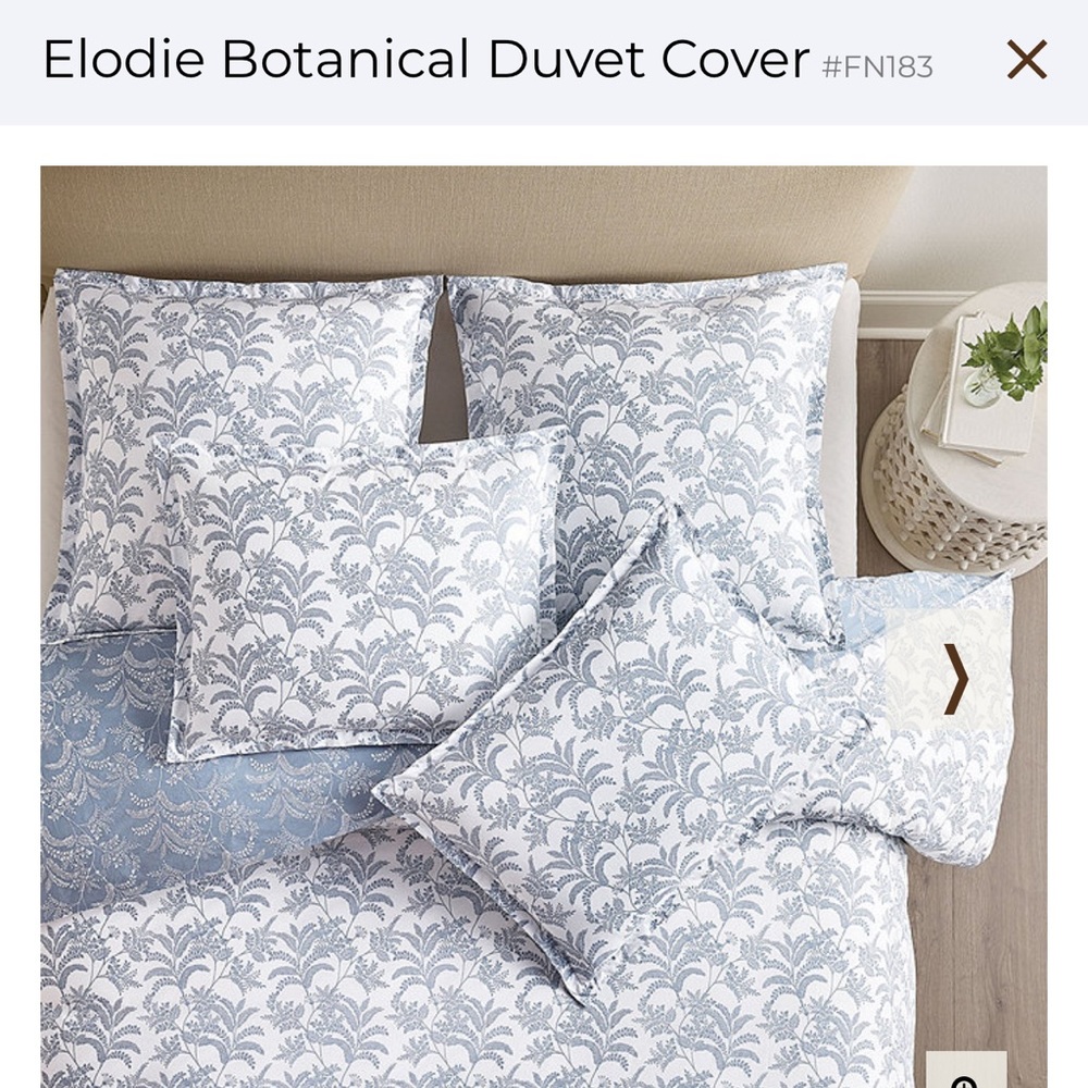 Ballard Design Elodie Botanical Queen Duvet Cover